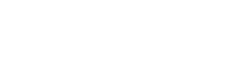 Digital Skills Partnership West Midlands