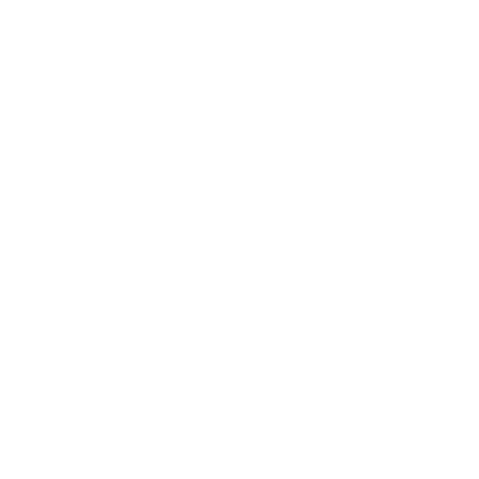 Meta