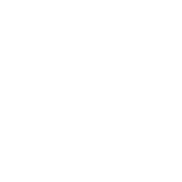Silicon Canal